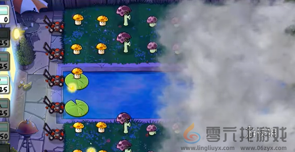 植物大战僵尸精华版冒险模式4-8怎么过(图4) 植物大战僵尸精华版冒险模式4-8怎么过(图4)